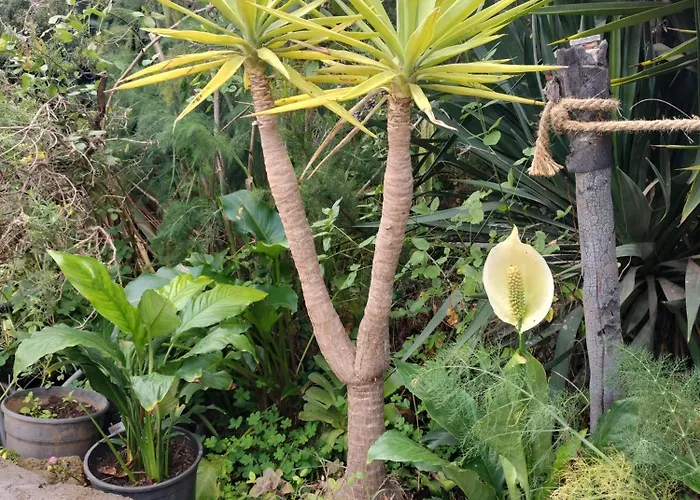 Aurora Ecorural 펜션