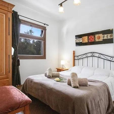 Aurora Ecorural Holiday home Icod De Los Vinos