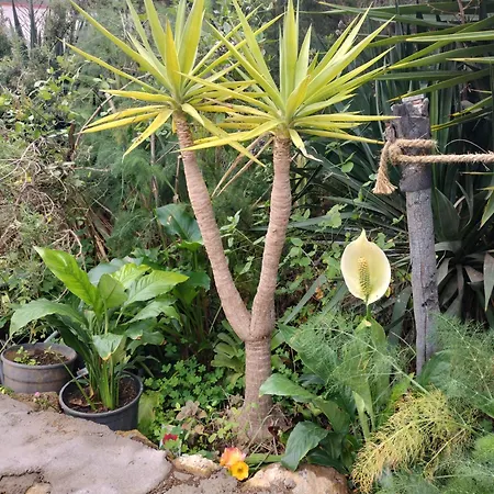 Aurora Ecorural Casa vacanze